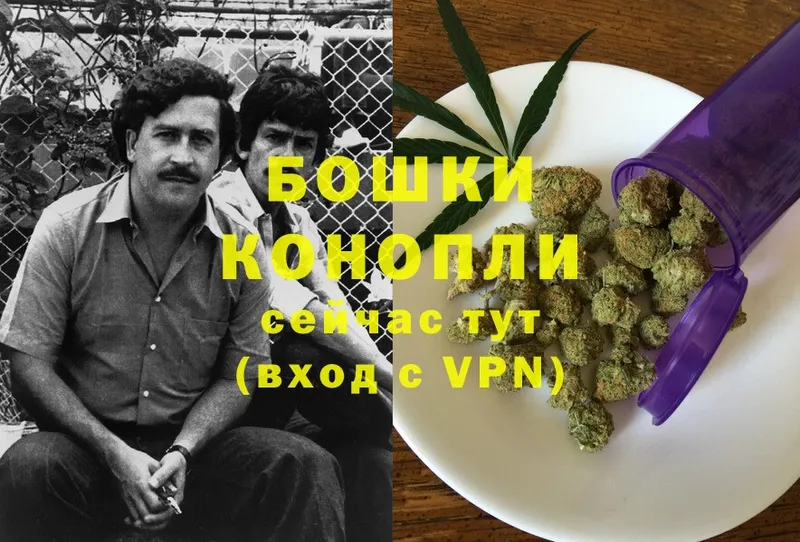 где купить наркоту  Вилюйск  Бошки марихуана Bruce Banner 